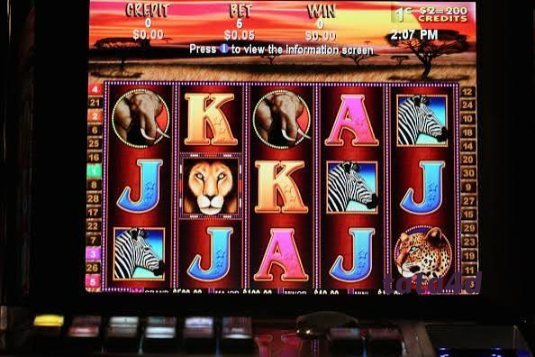 tata4d Live Dealer Tables at Your Fingertips